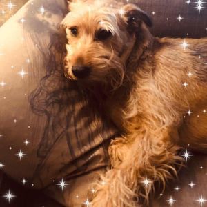 Meet your Posher, Mandy